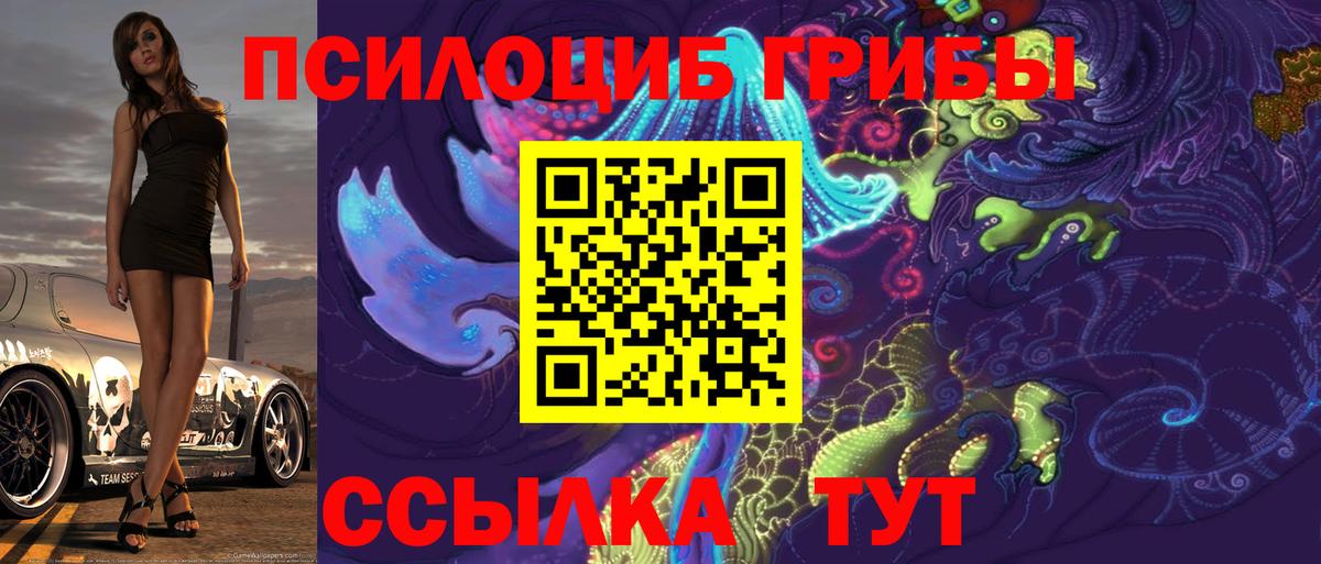 Галлюциногенные грибы Psilocybe  Вход с VPN  Псилоцибиновые грибы мицелий  Кондопога 